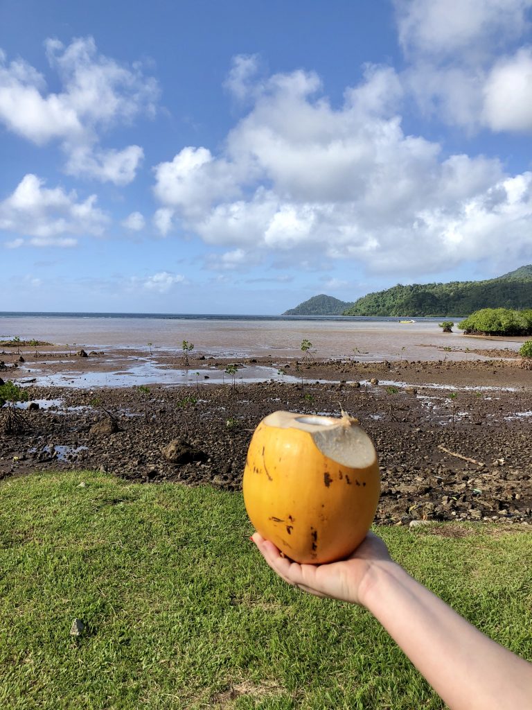 Another fresh coconut