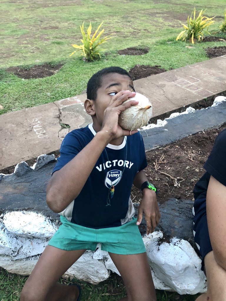 Drinking fresh coconut water