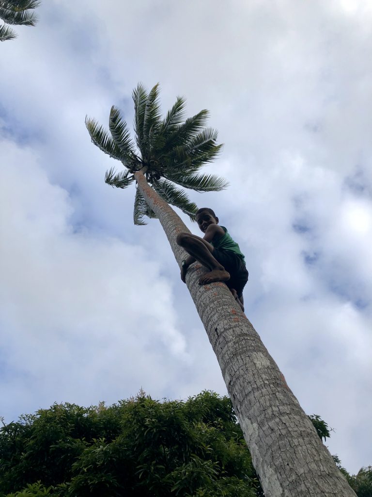 Jerome climbing