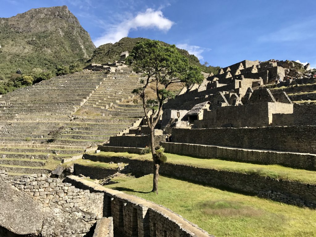 Peaceful Incan ruins