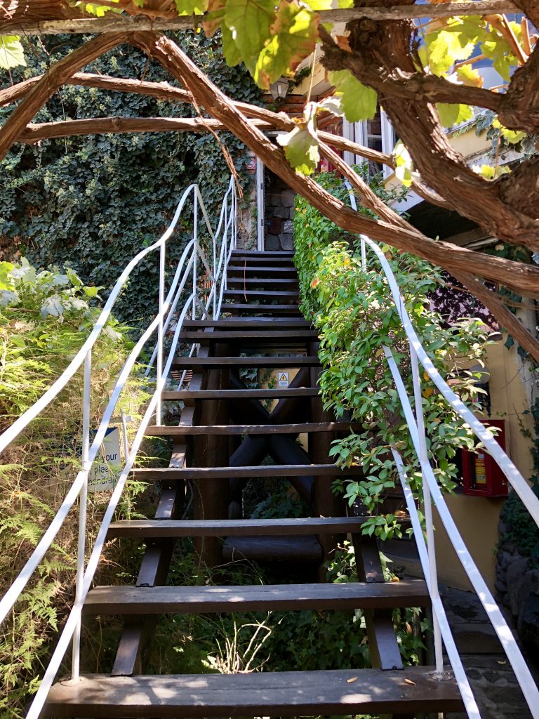 Tree shade over stairs