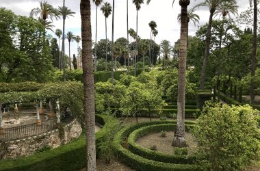 Circular gardens at Alcázar