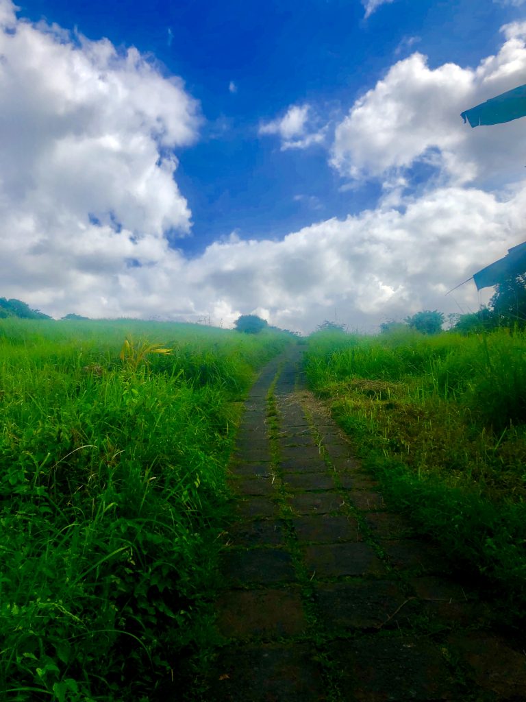 A Walk through Ubud, Bali, Indonesia