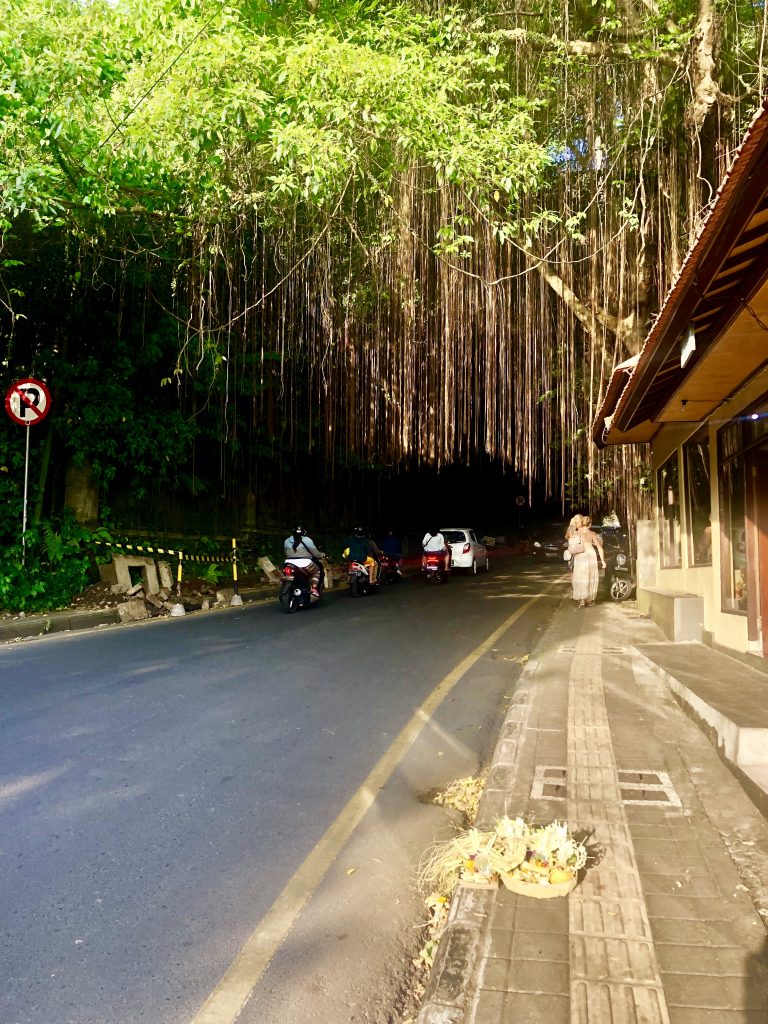 Street-walking in Ubud