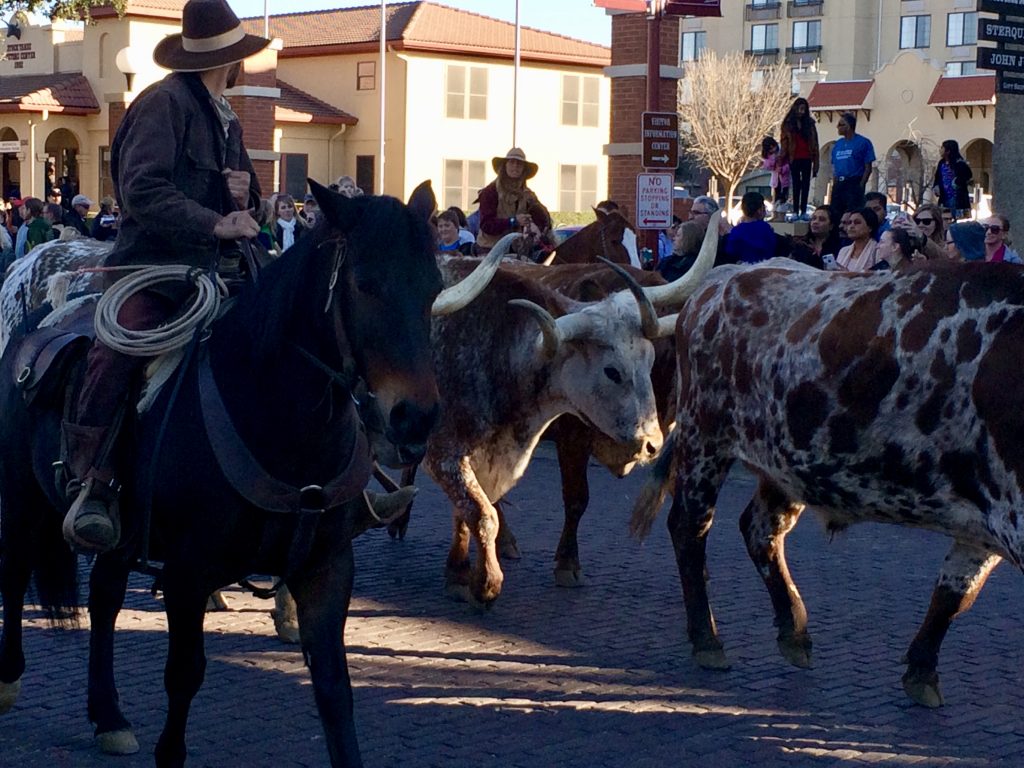 Fort Worth, Texas: Travel Photography