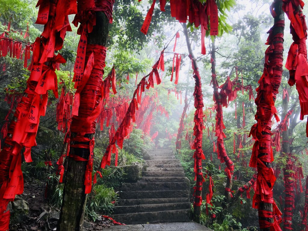 Ribbons on hike through forest park